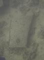 Thistlegorm (9)